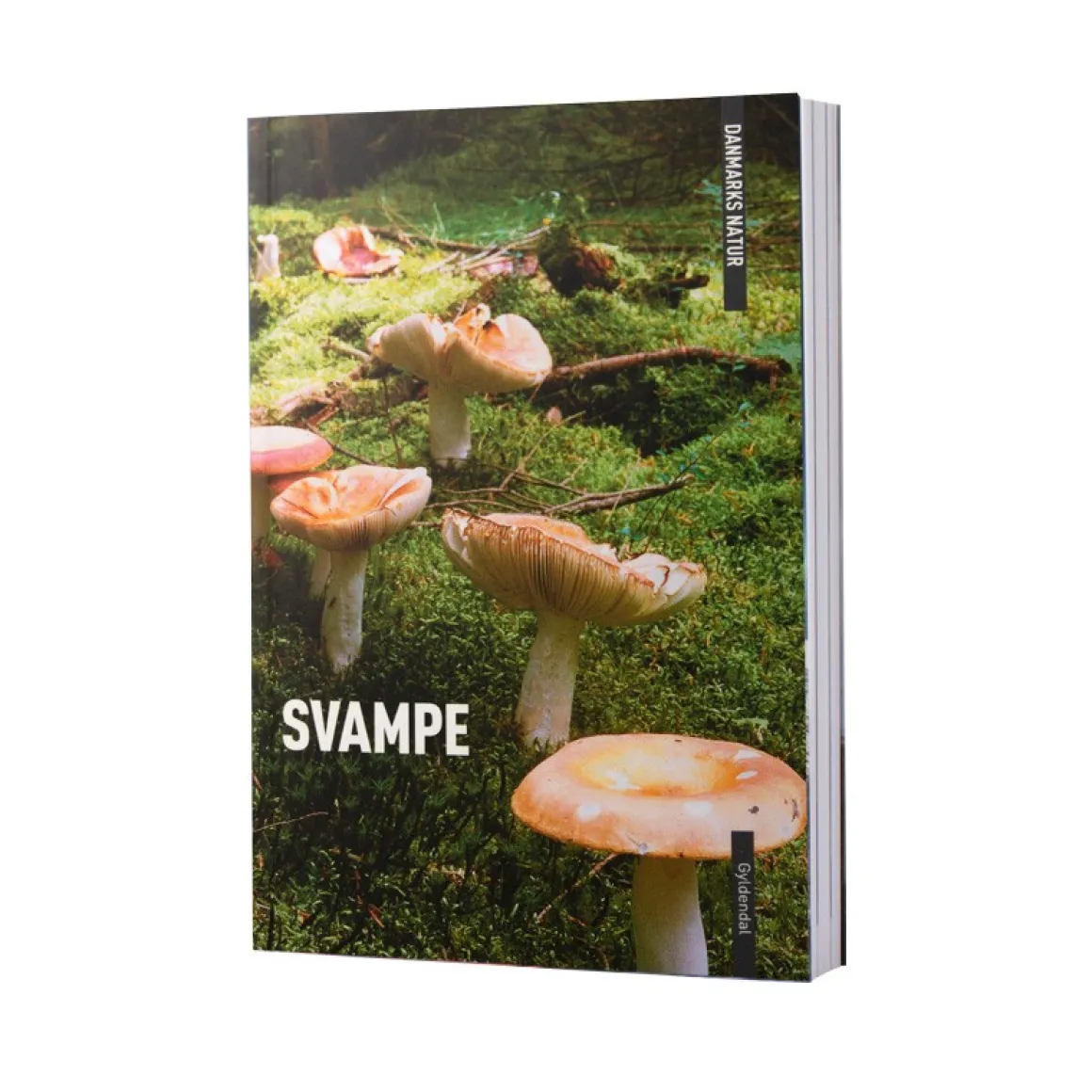 Danmarks natur - svampe